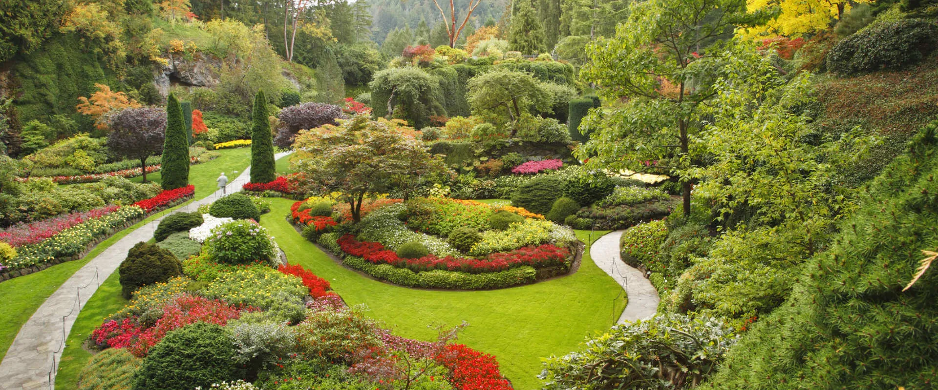 Creating Privacy and Beauty in Your Garden with Vines and Privacy Screens: How to Use Vines and Screens to Create a Beautiful and Private Vegetable Garden